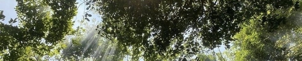 alia nature